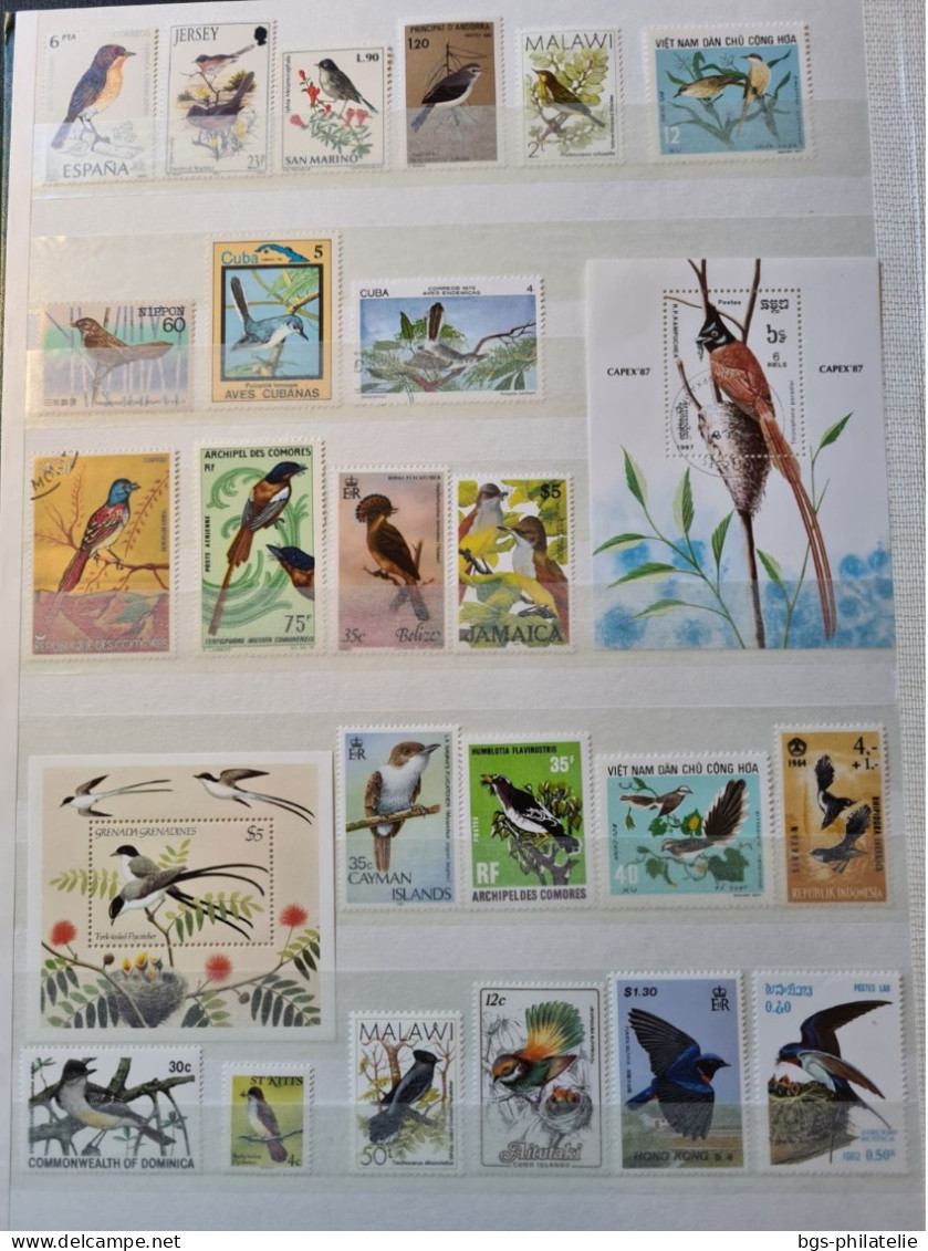 Collection de timbres sur le thème des Oiseaux.