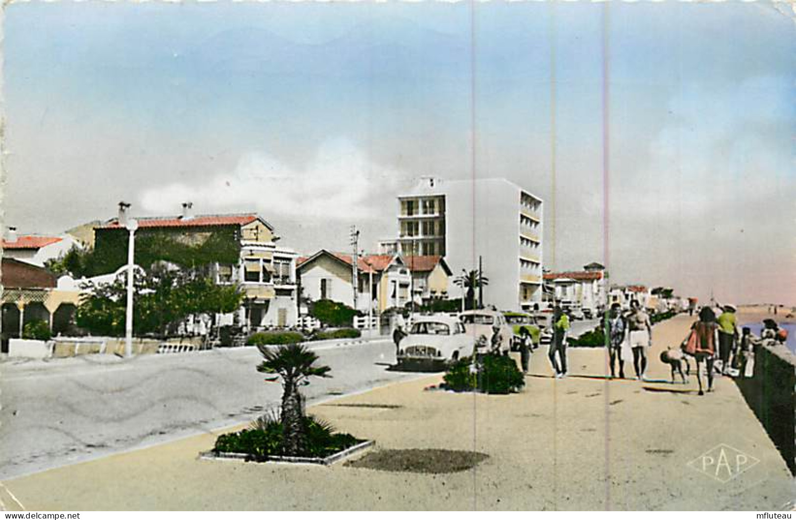 66* CANET PLAGE  Front De Mer  (CPSM Petit Format)   MA80-0251 - Canet Plage