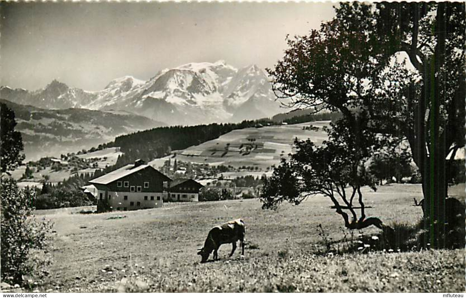 74* COMBLOUX Et Mt Blanc  (CPSM Petit Format)    MA80-0852 - Combloux