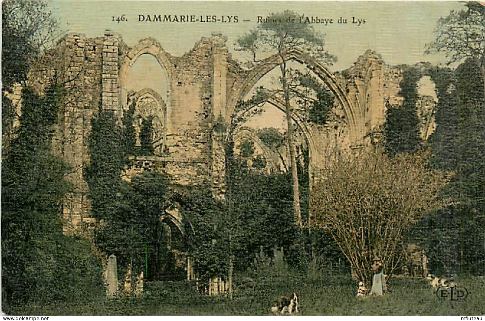 77* DAMMARIE LES LYS Ruines  De L Abbaye               MA81.113 - Dammarie Les Lys