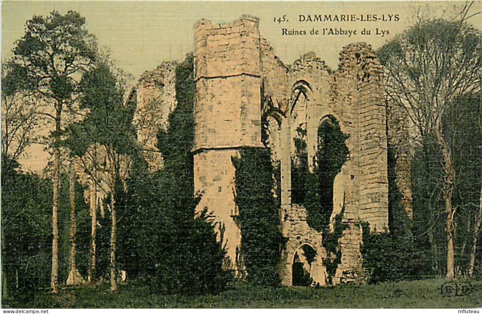 77* DAMMARIE LES LYS Ruines Abbaye                MA81.111 - Dammarie Les Lys