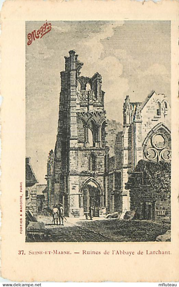 77* LARCHANT Ruines Abbaye                MA81.050 - Larchant
