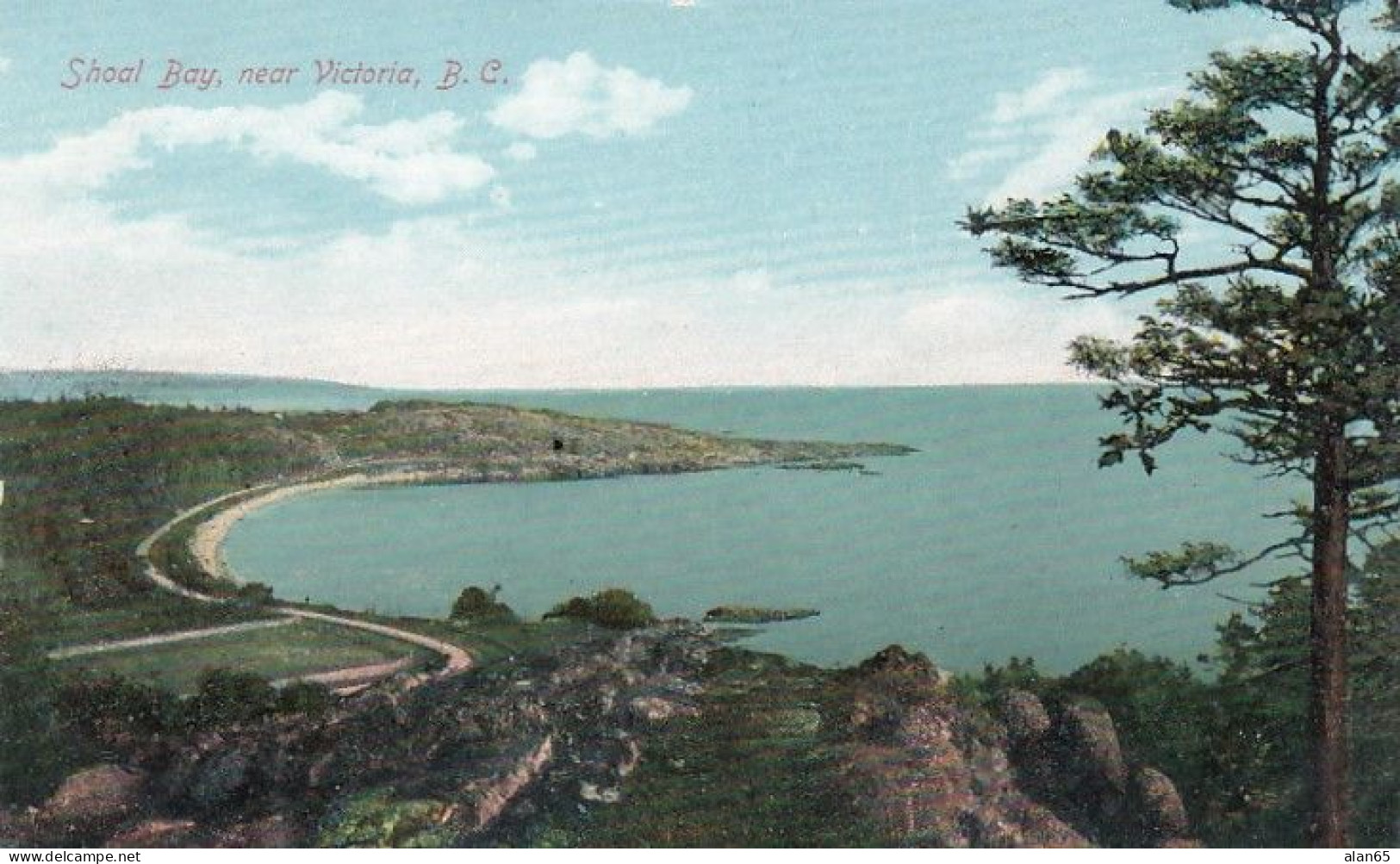 Shoal Bay Near Victoria BC Canada, C1910s Vintage Postcard - Victoria