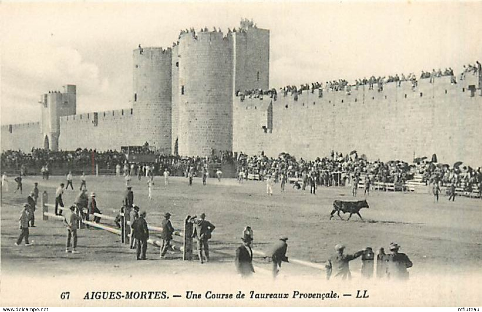 30* AIGUES MORTES  Course Taureaux                           MA82_0036 - Aigues-Mortes