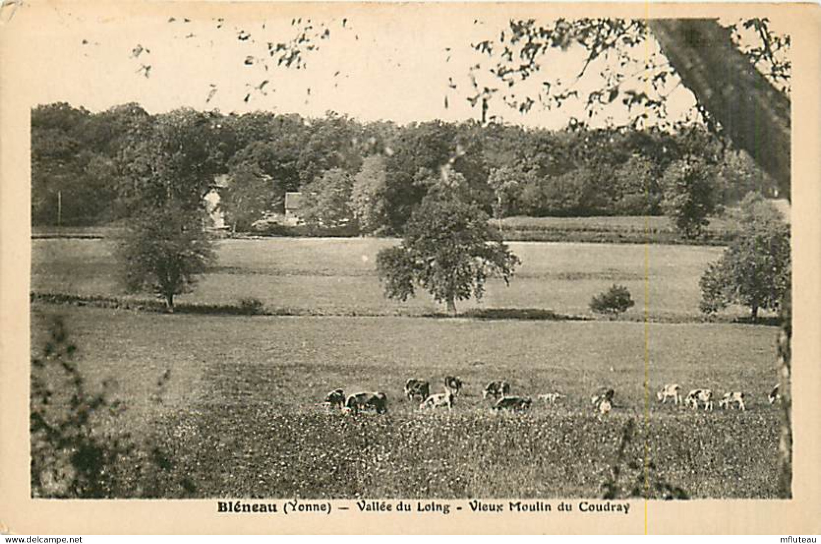 89* BLENEAU   Moulin Du Coudray      MA82_0637 - Bleneau