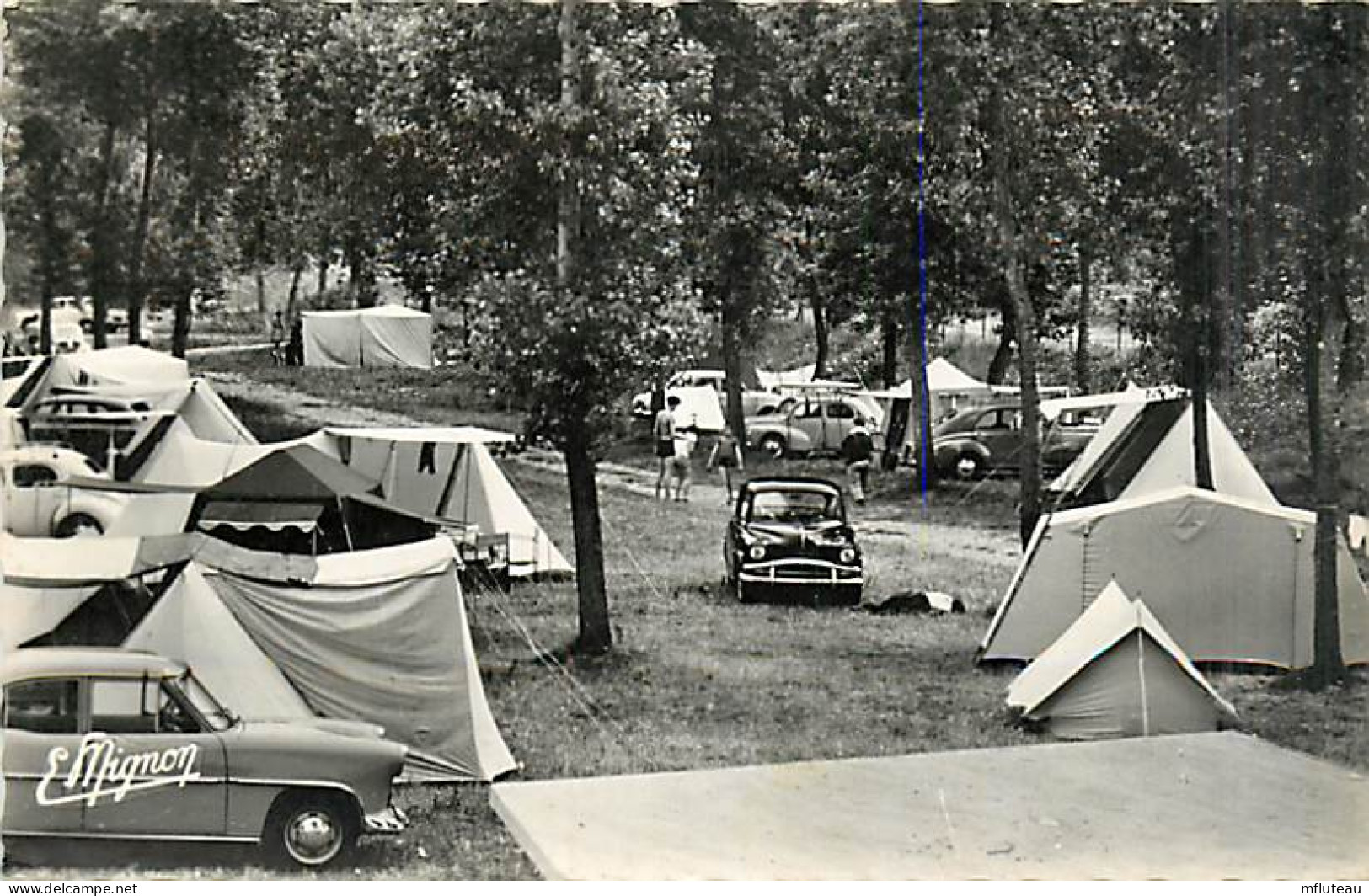 89* BRIENON SUR ARMANCON Camping  CPSM (petit Format)           MA82_0292 - Brienon Sur Armancon