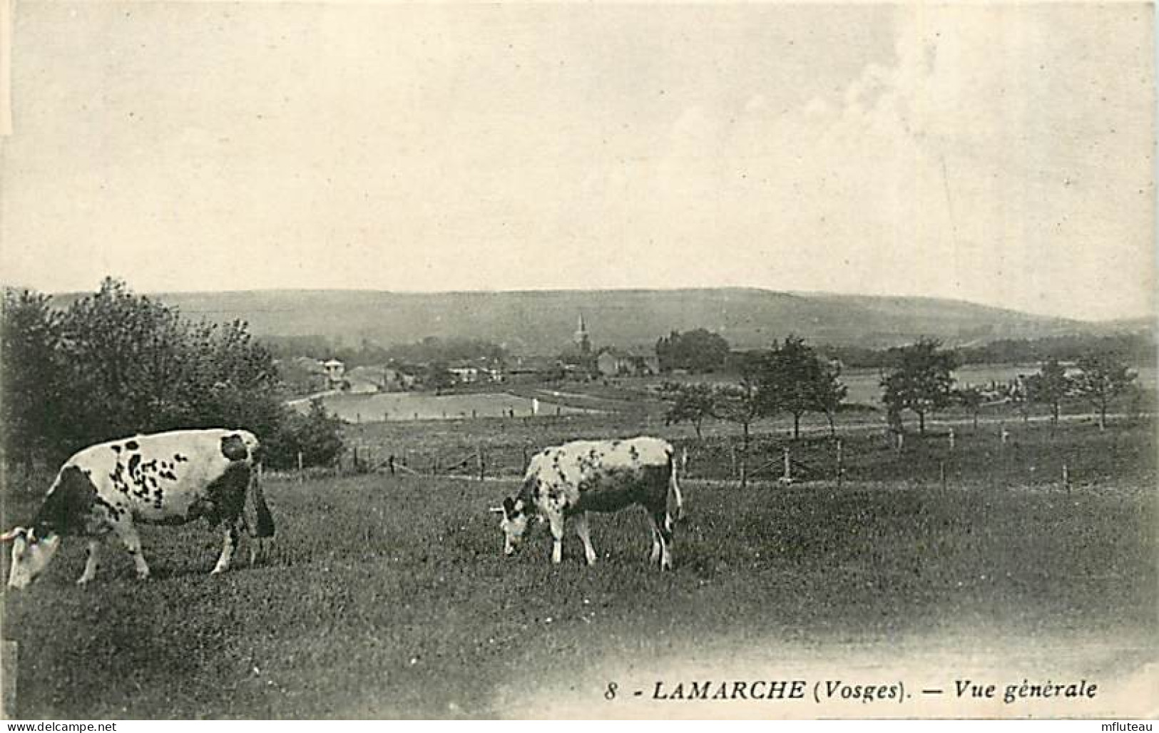 88* LAMARCHE Vue Generale   Vaches        MA82_0217 - Lamarche