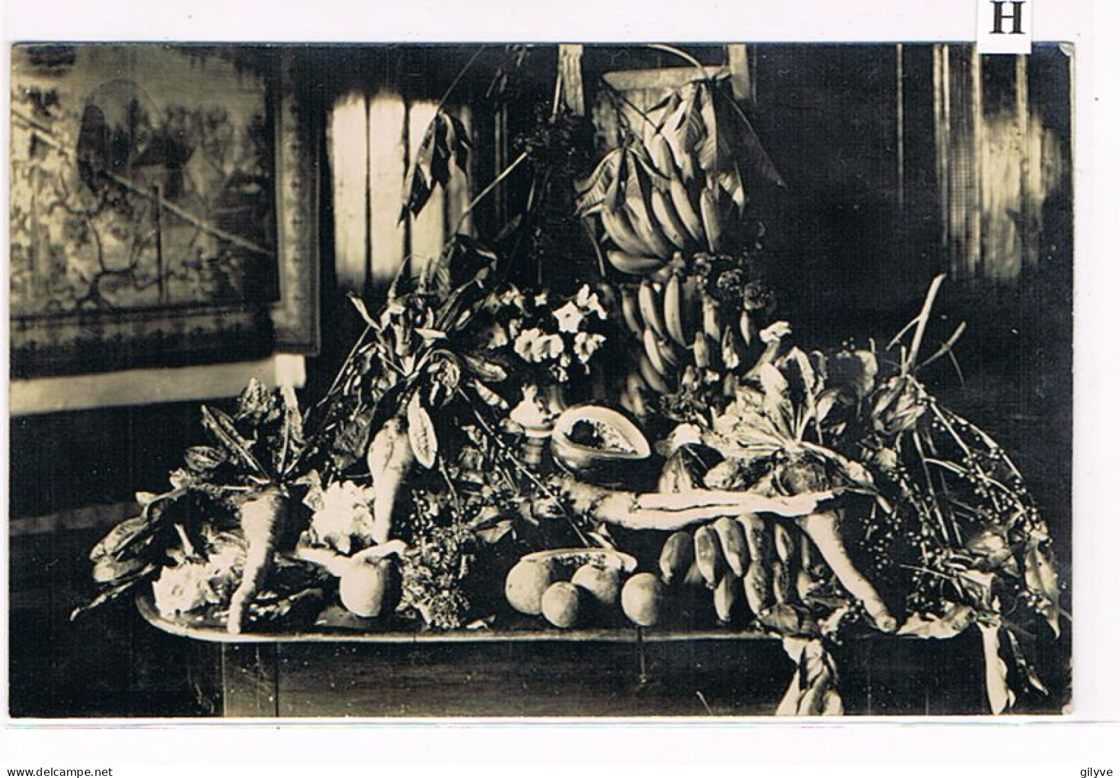 Rare Carte Photo. Mexique. Plantation De Café De San Patricio. Différents Produits De La Hacienda.   (031) - Culturas