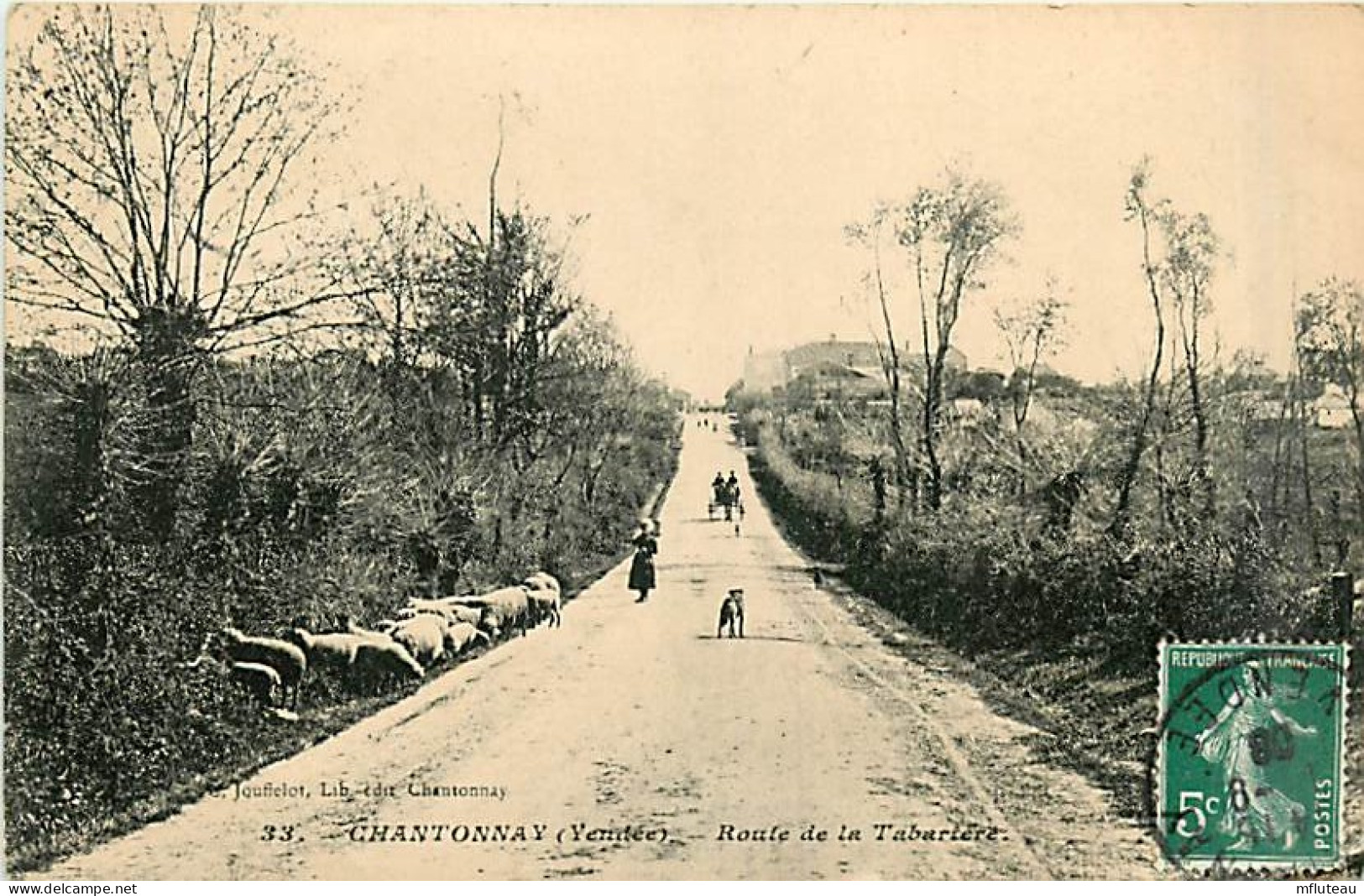 85* CHANTONNAY Moutons                        MA89,0621 - Chantonnay