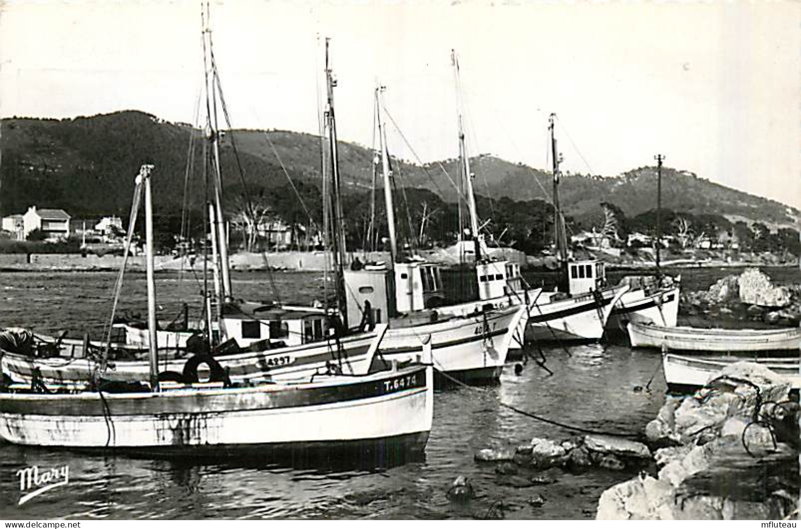 83* CARQUEIRANNE  Barques  (CPSM Petit Format)                       MA89,1253 - Carqueiranne