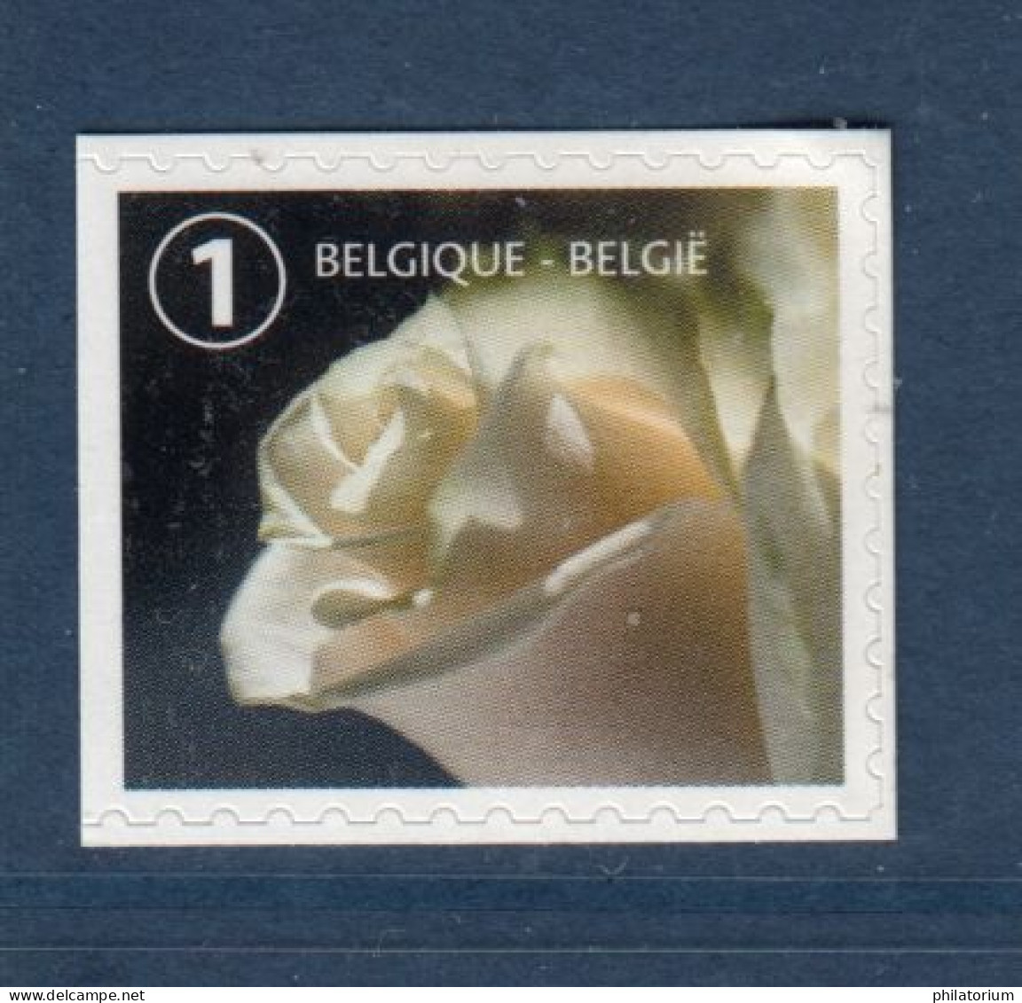 Belgique, België, **, Yv 4691, Mi 4767 DI, Bel 4710, Rose Blanche, Timbre De Deuil 2017, - Ongebruikt