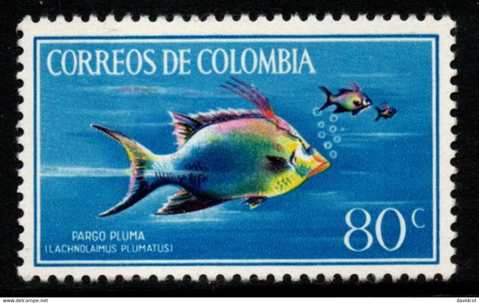 05A- KOLUMBIEN – 1966- MI#:1078 - MNH- PARGO PLUMA (LACHNOLAIMUS PLUMATUS) - FISHES. MARINE LIFE / FAUNA / FISH - Colombie