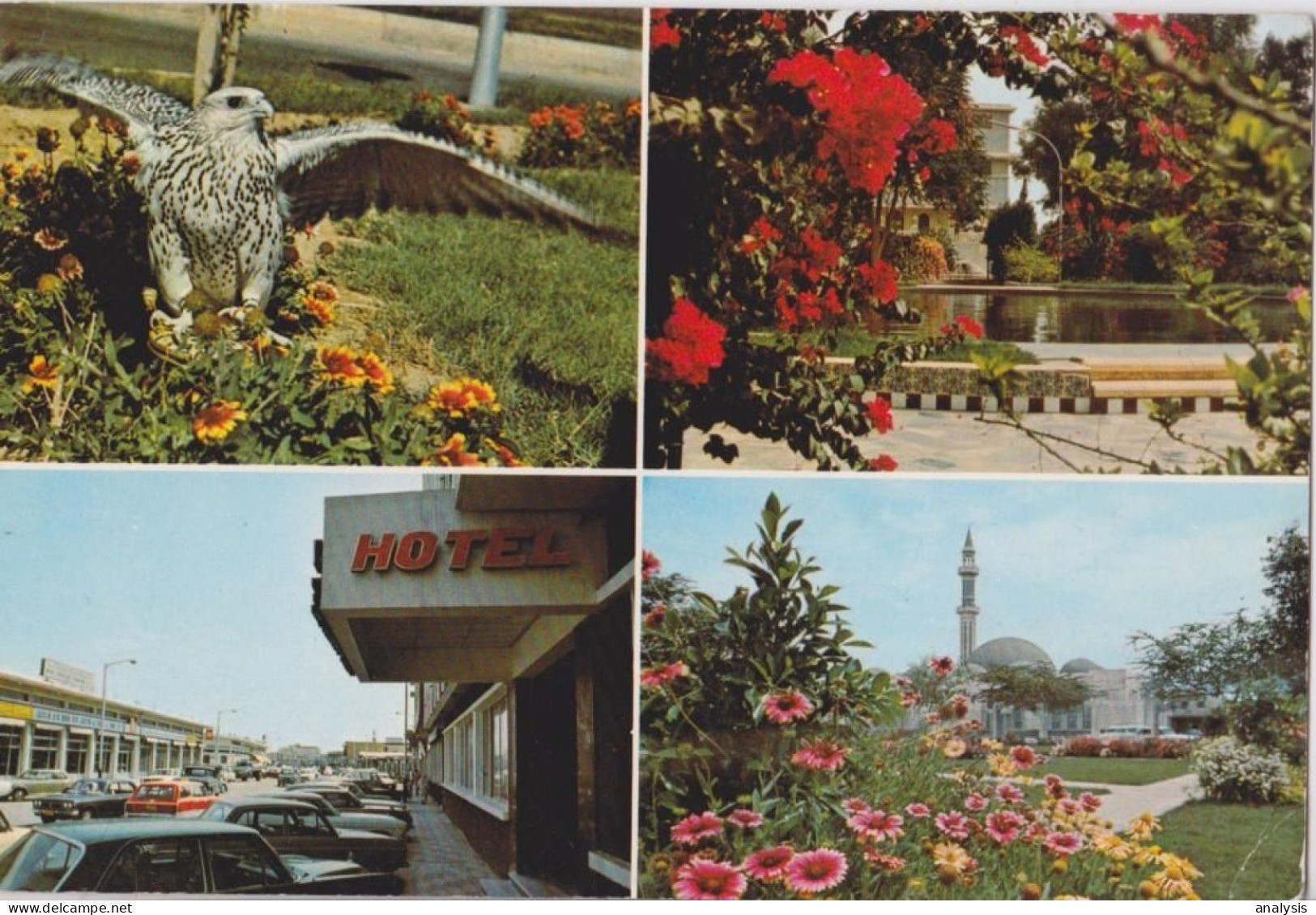 Qatar Doha Views Grand Mosque Falcon Postcard 1978 Mailed W/ Stamp - Qatar