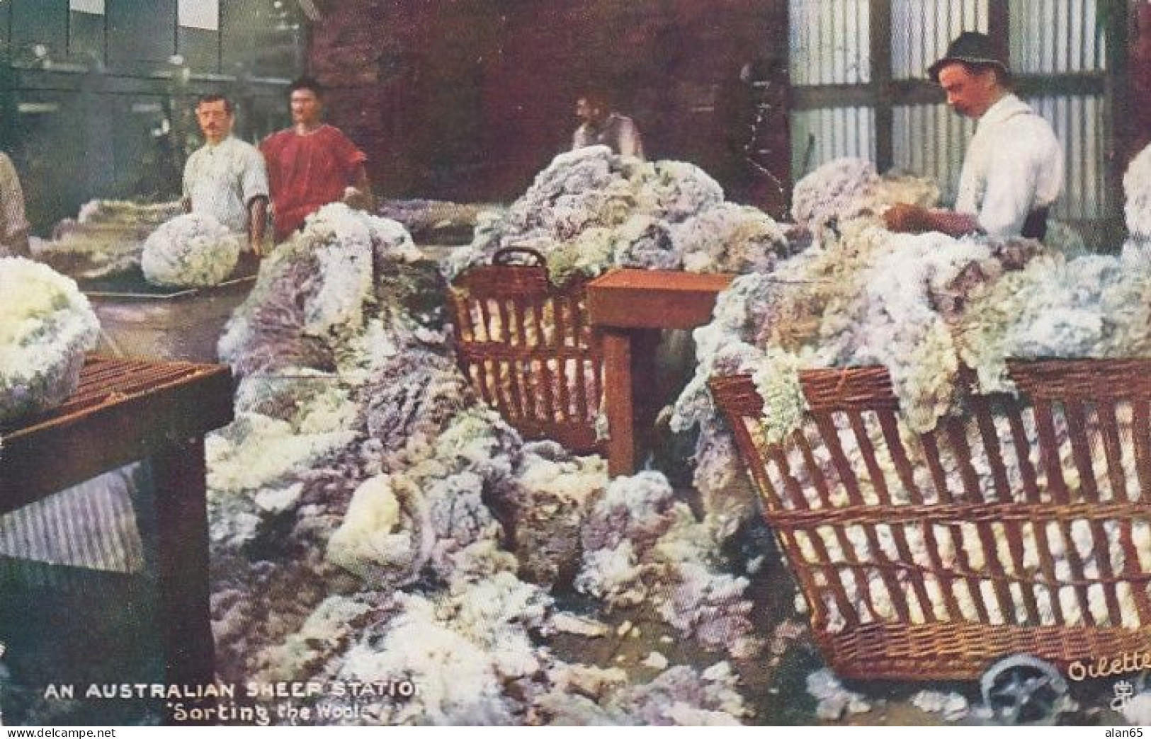 Australia, Sheep Station, Sorting The Wool, C1900s/10s Vintage Tuck's Oilette Series II #9346 Postcard - Sonstige & Ohne Zuordnung