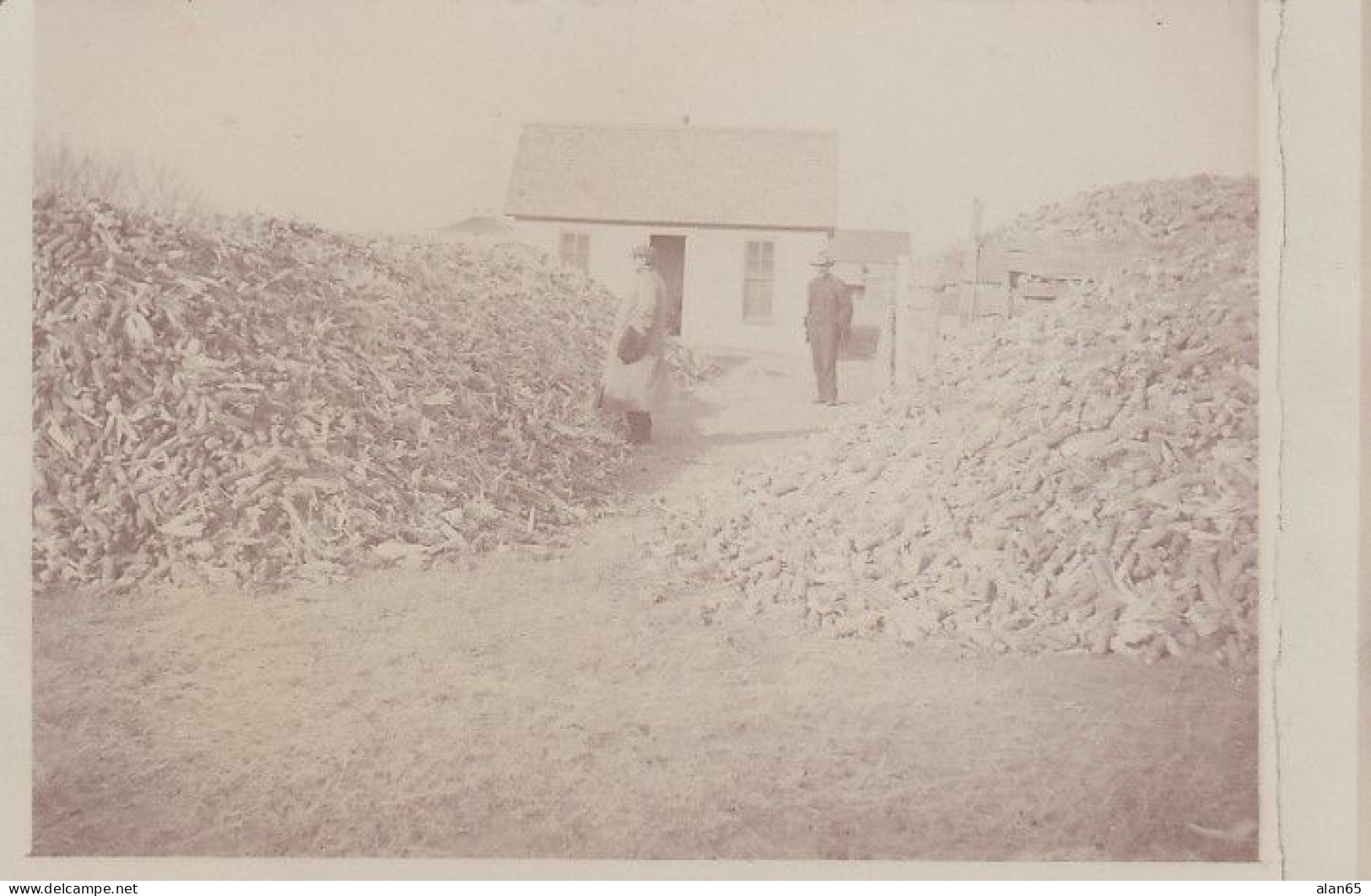 Grant Nebraska, Perkins County, Piles Of Corn Bountiful Harvest, Real Estate Promo, C1910s Vintage Real Photo Postcard - Autres & Non Classés