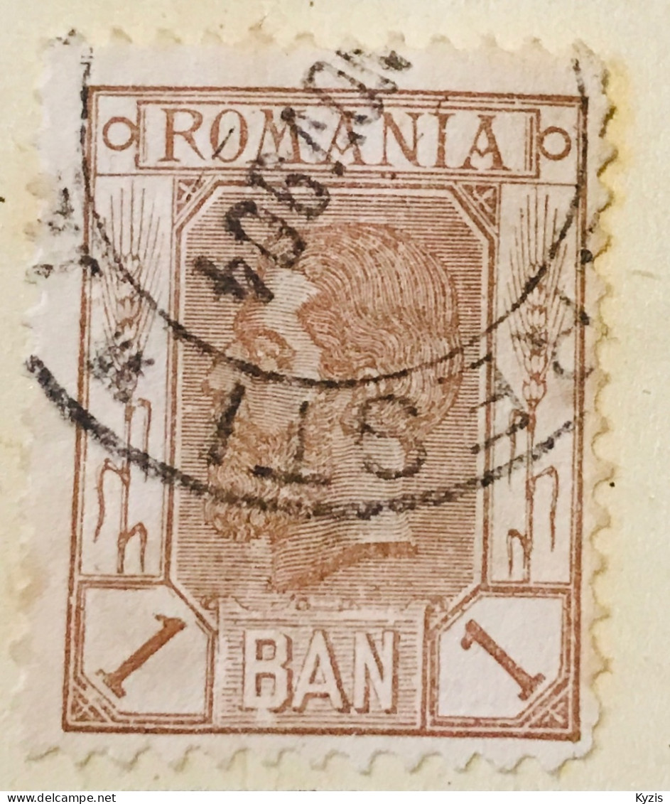 ROUMANIE - Roi Carol I  1904 - Numéro Michel 117 - Used Stamps