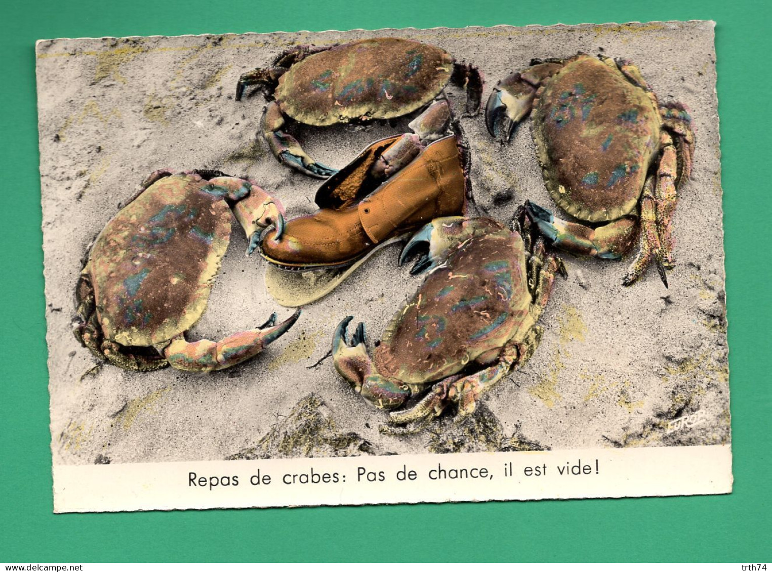 Crabes Crustacés Fm8 - Poissons Et Crustacés