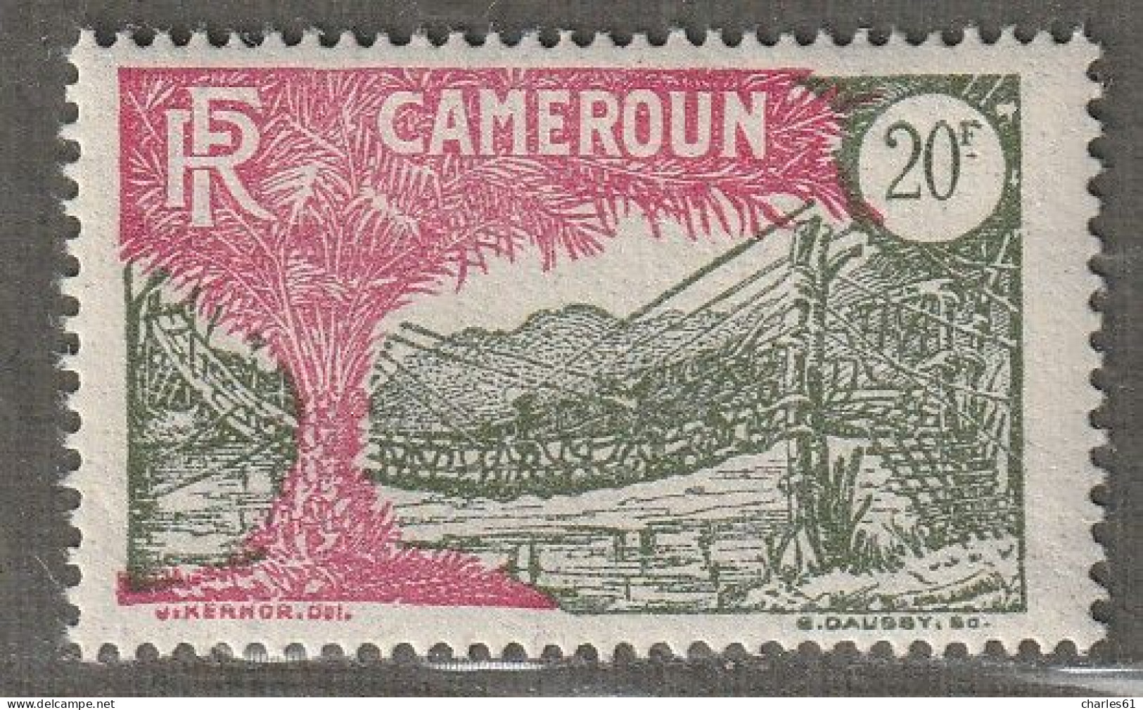 CAMEROUN - N°132 ** (1925-27) 20fr Olive Et Rose - Neufs