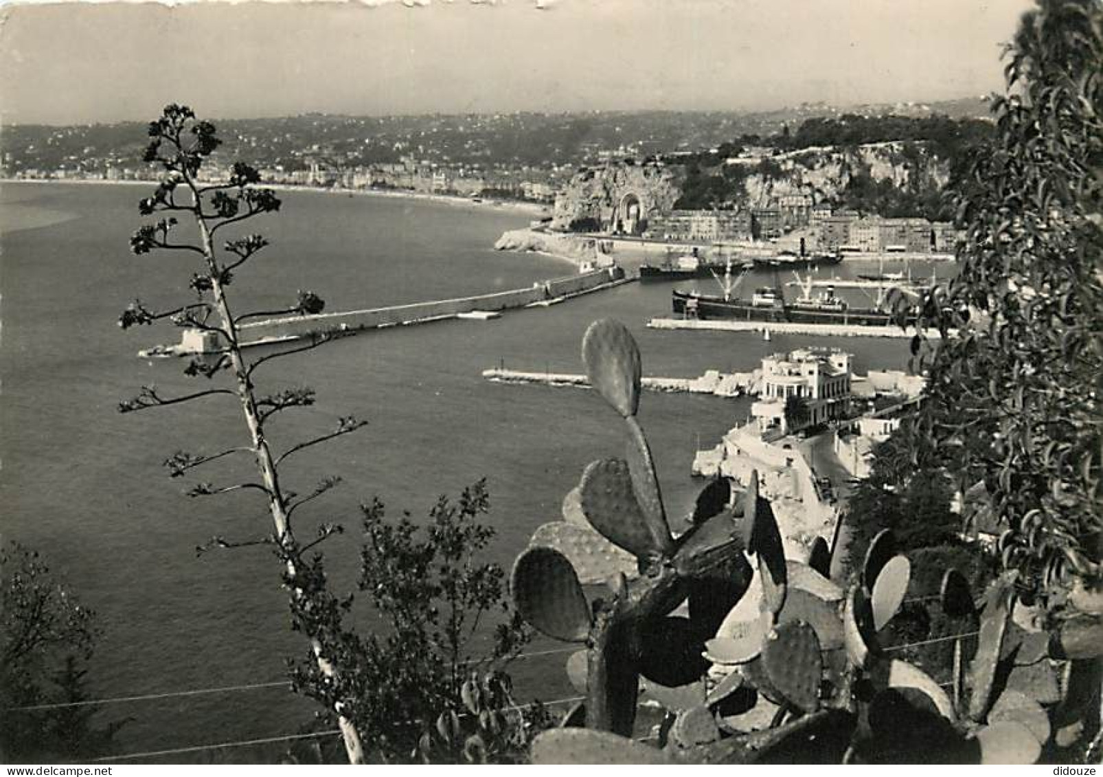 06 - Nice - Vue Générale Prise Du Mont Boron - Carte Dentelée - CPSM Grand Format - Voir Scans Recto-Verso - Panoramic Views