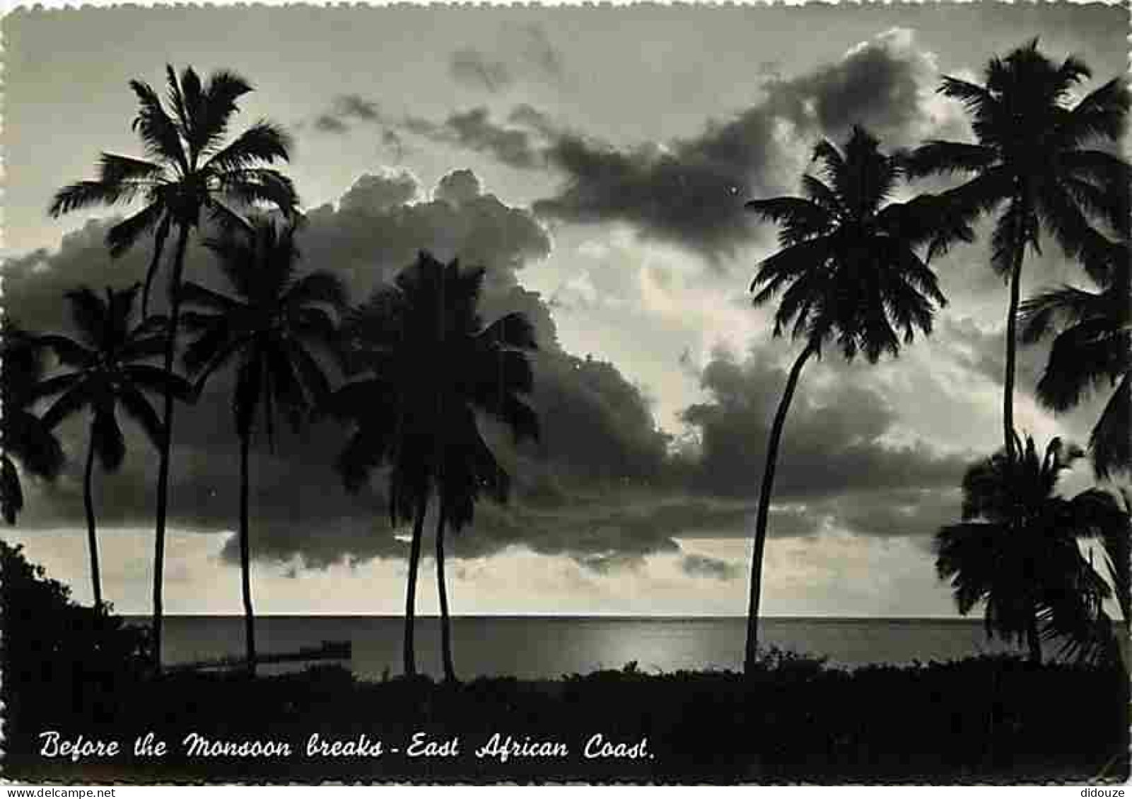 Afrique - Before The Monsoon Breaks - East African Coast - Carte Neuve - CPM - Voir Scans Recto-Verso - Non Classés