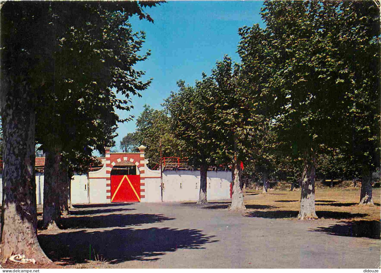 32 - Riscle - L'Avenue Des Arènes - CPM - Voir Scans Recto-Verso - Riscle