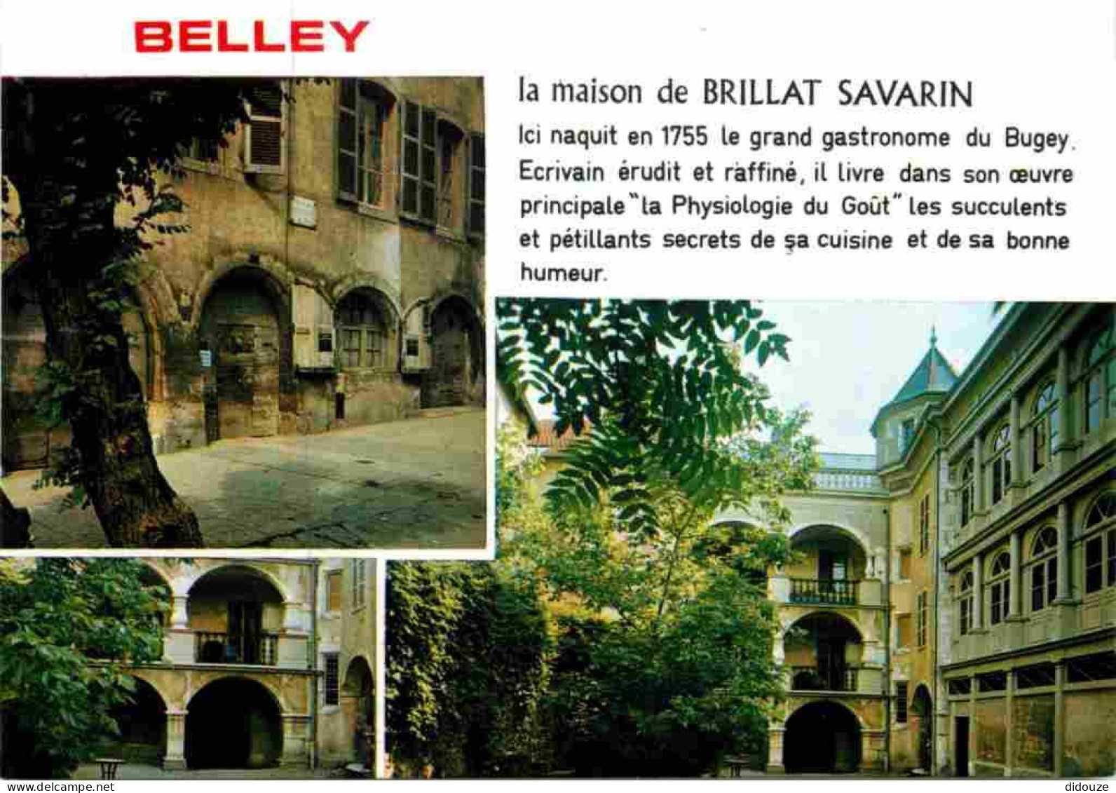 01 - Belley - Maison Natale De Brillat Savarin - Multivues - CPM - Voir Scans Recto-Verso - Belley