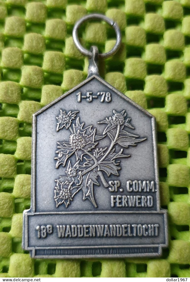 Medaile : 18e. Waddenwandetocht , Sp. Comm. Ferwerd 1-5-1978 - 20km -  Original Foto  !!  Medallion  Dutch - Sonstige & Ohne Zuordnung