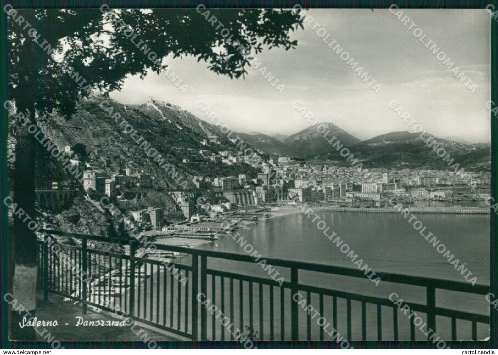 Salerno Città Foto FG Cartolina KB4215 - Salerno