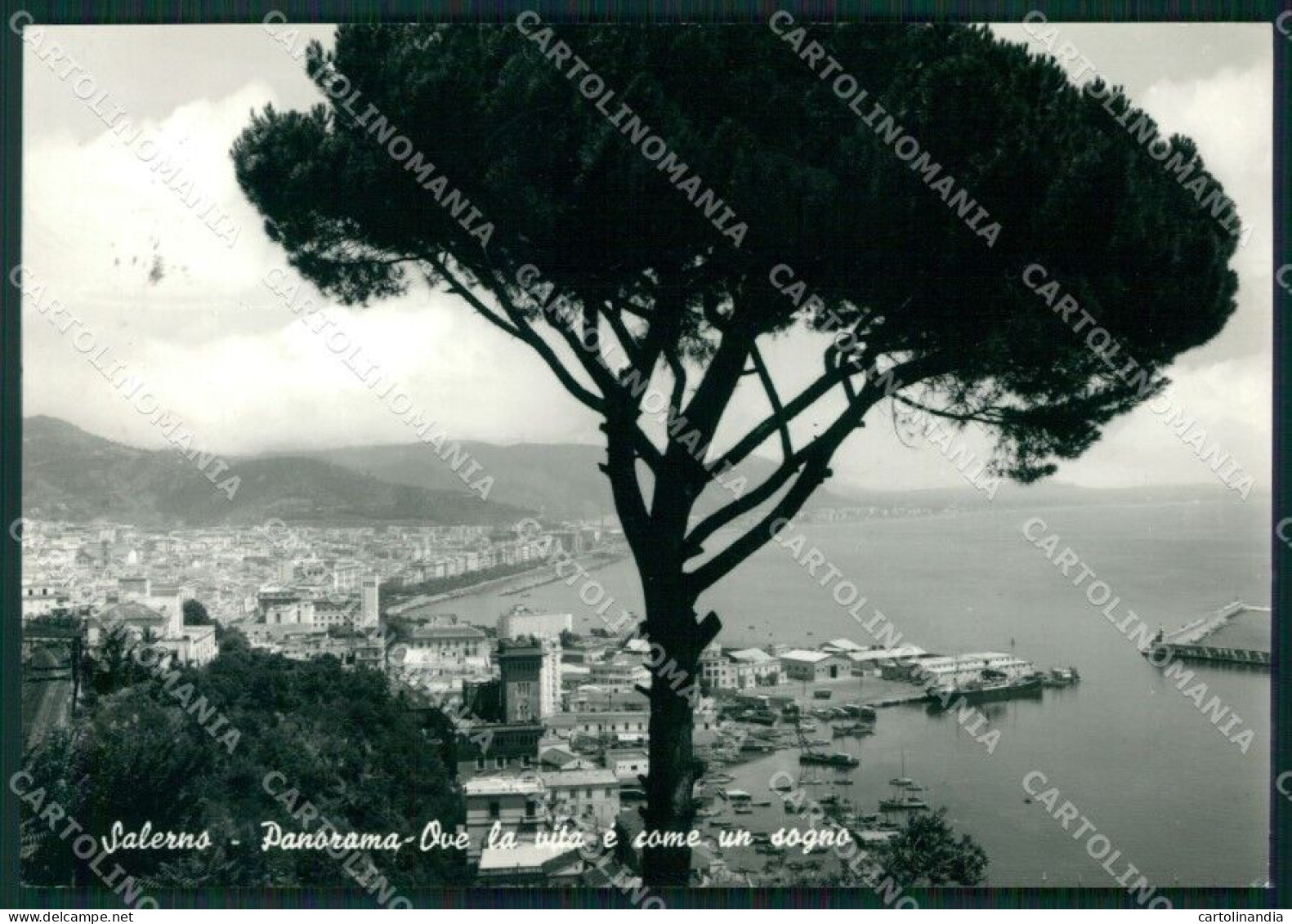 Salerno Città Foto FG Cartolina KB4206 - Salerno