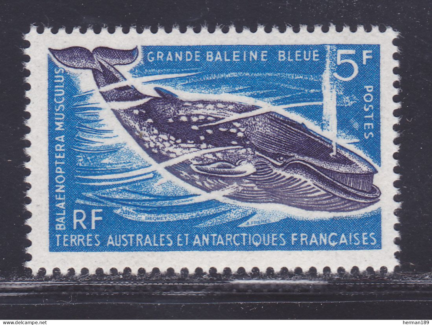 TAAF N°   22 ** MNH Neuf Sans Charnière, TB (D7806) Faune Marine - 1966 - Unused Stamps