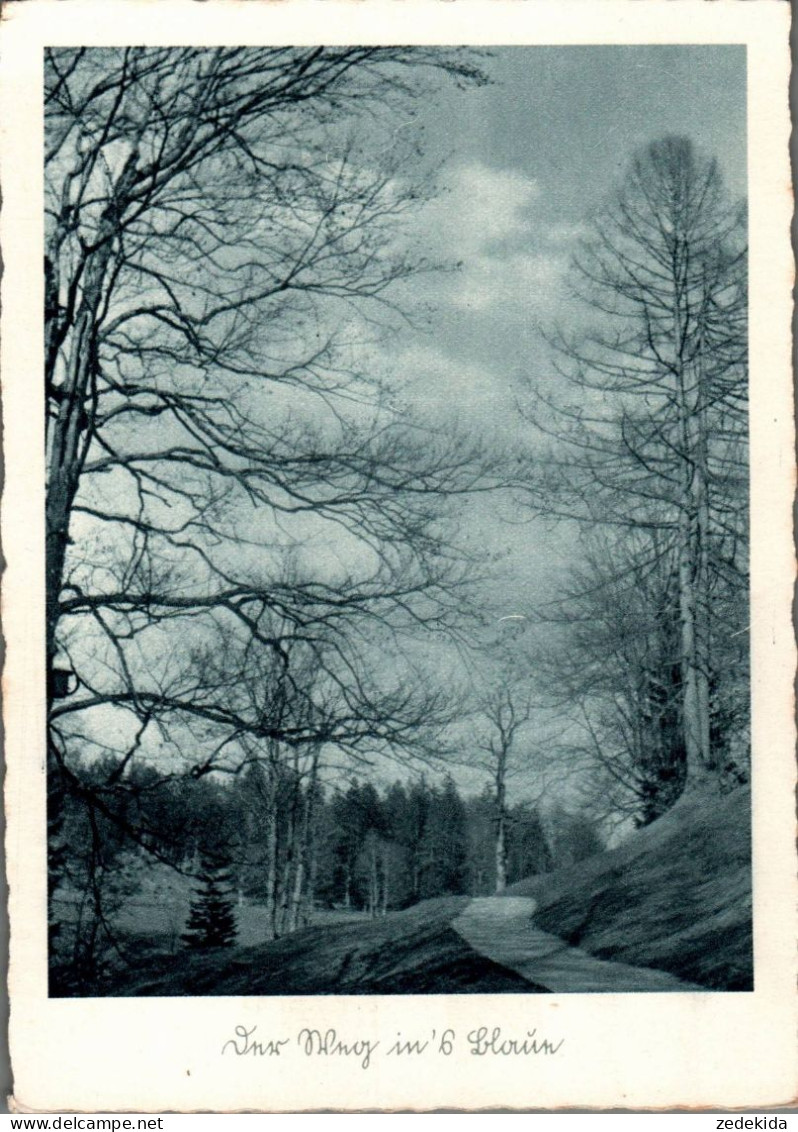 H1375 - Hoffmann Heinrich Foto Künstlerkarte - Der Weg Ins Blaue - Selbstverlag - Autres & Non Classés