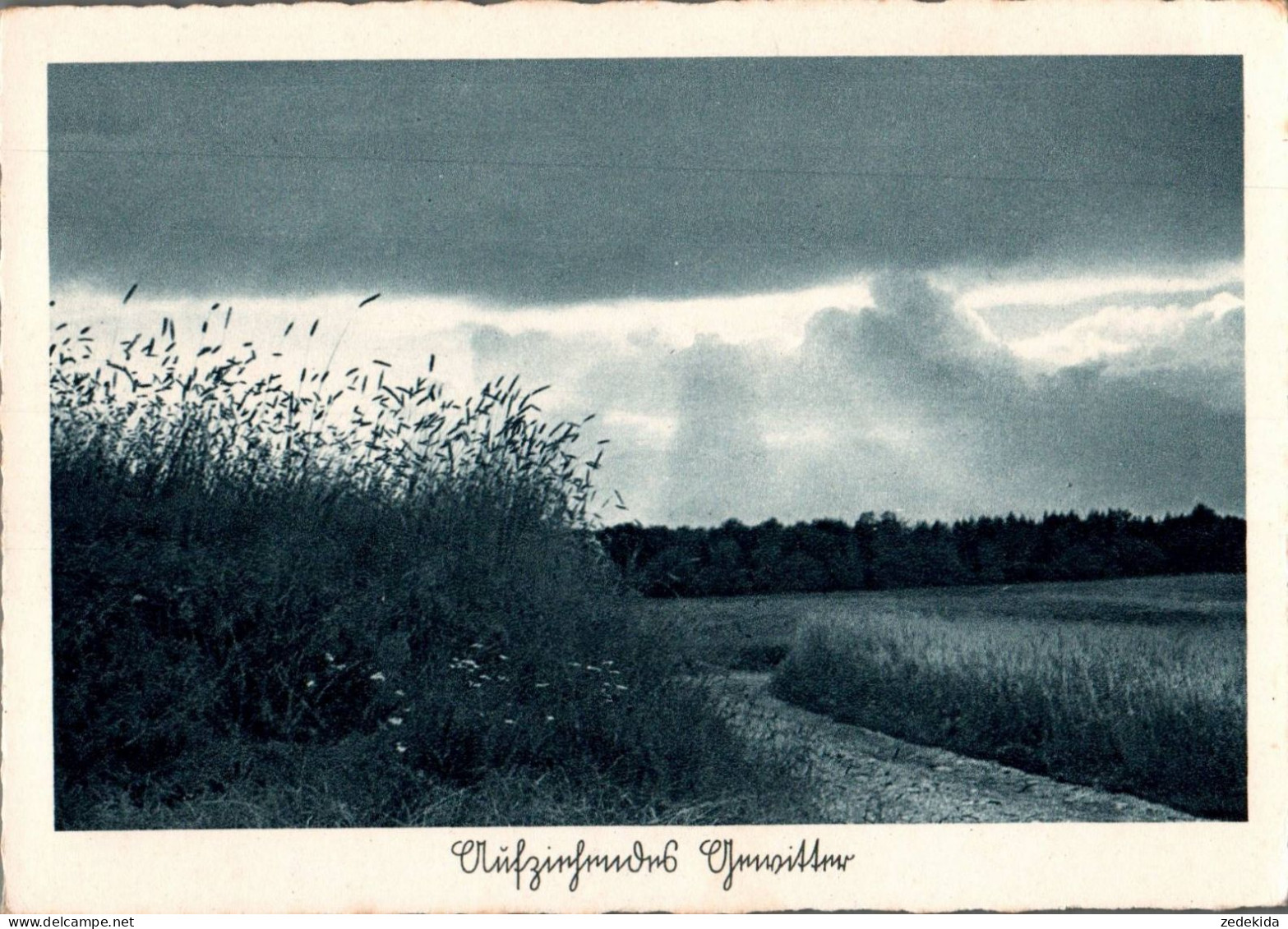 H1380 - Hoffmann Heinrich Foto Künstlerkarte - Aufziehendes Gewitter - Selbstverlag - Andere & Zonder Classificatie