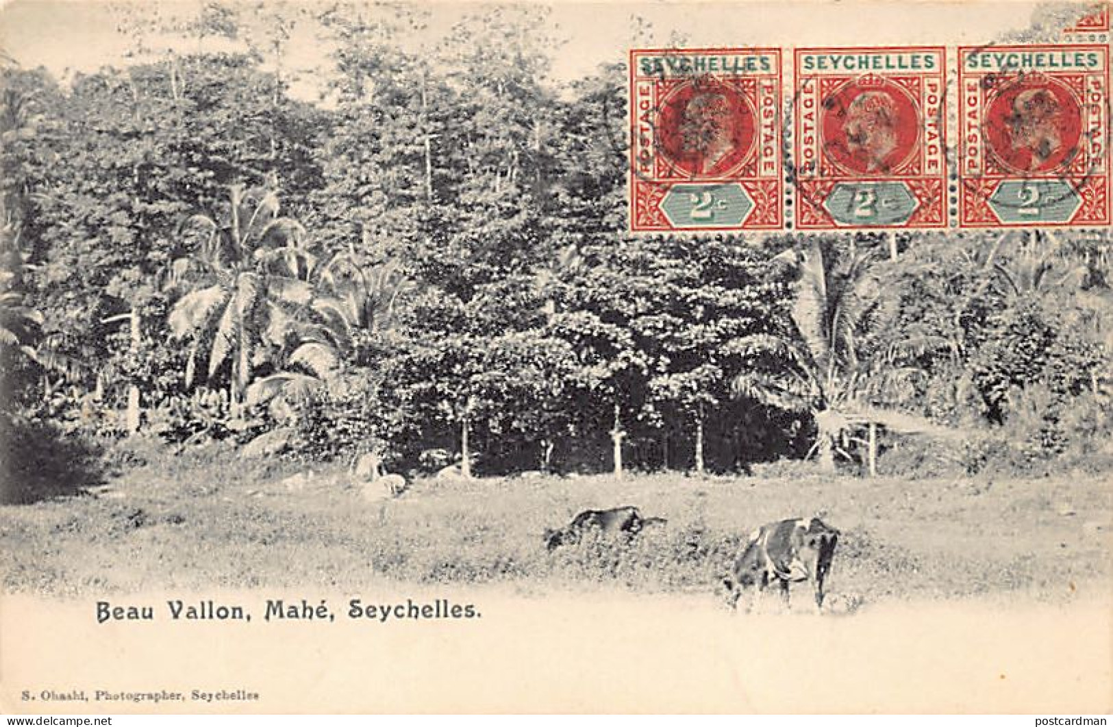 SEYCHELLES - Beau Vallo, Mahé - Publ. S. Ohashi  - Seychellen
