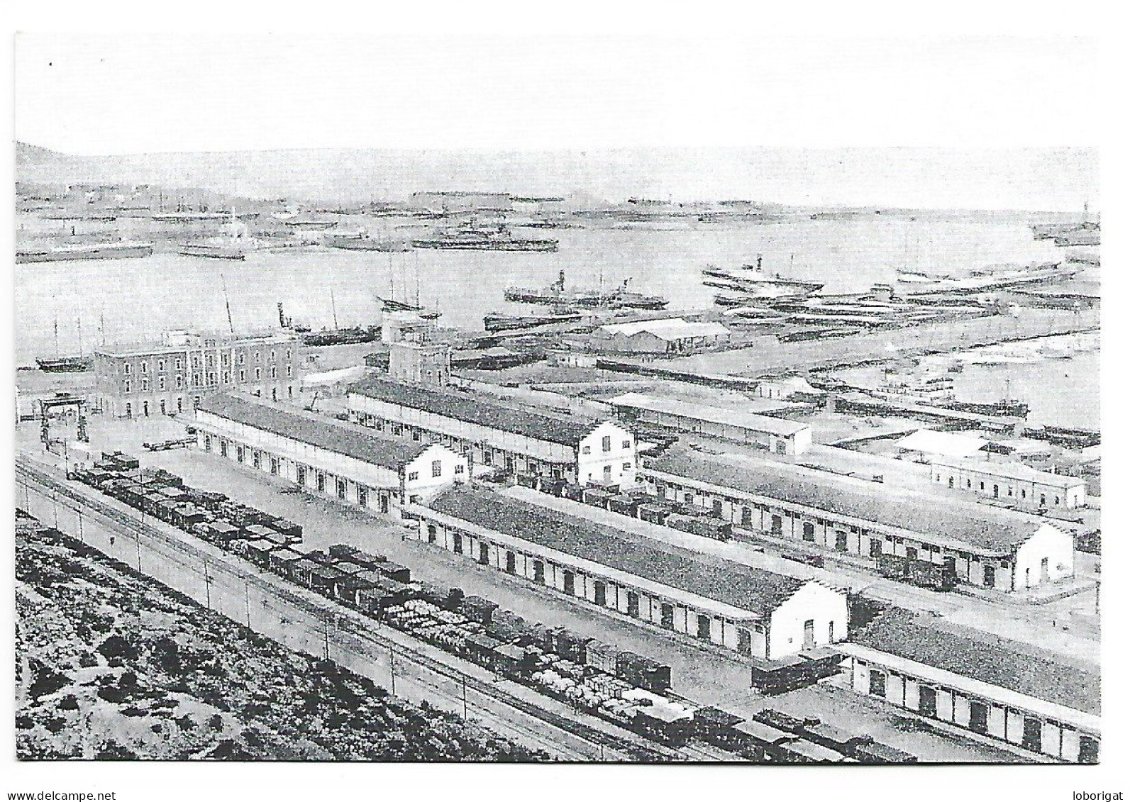 ESTACION DE MERCANCIAS DE EL MORROT " VILLANUEVA ".- VISTA DE 1905.-  BARCELONA.- ( CATALUNYA) - Barcelona