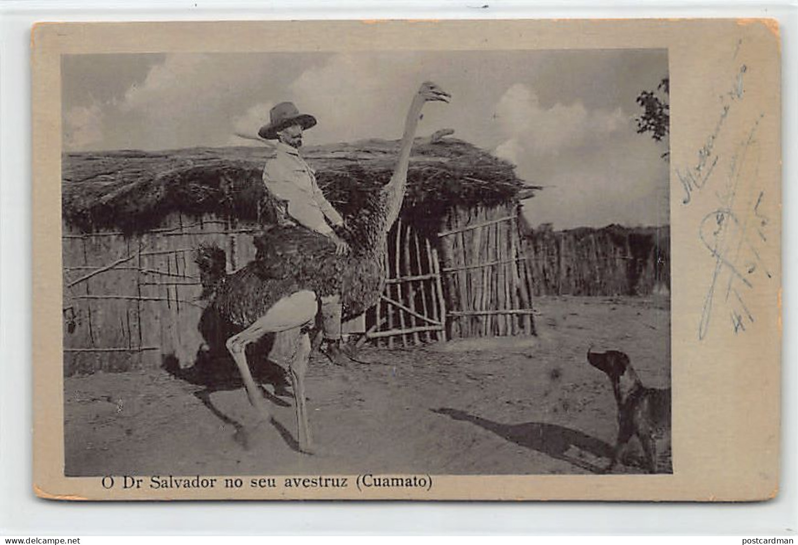 Angola - Dr Salvador On His Ostrich (Cuamato, Cunene Province) - Publ. Herculano De Campos  - Angola