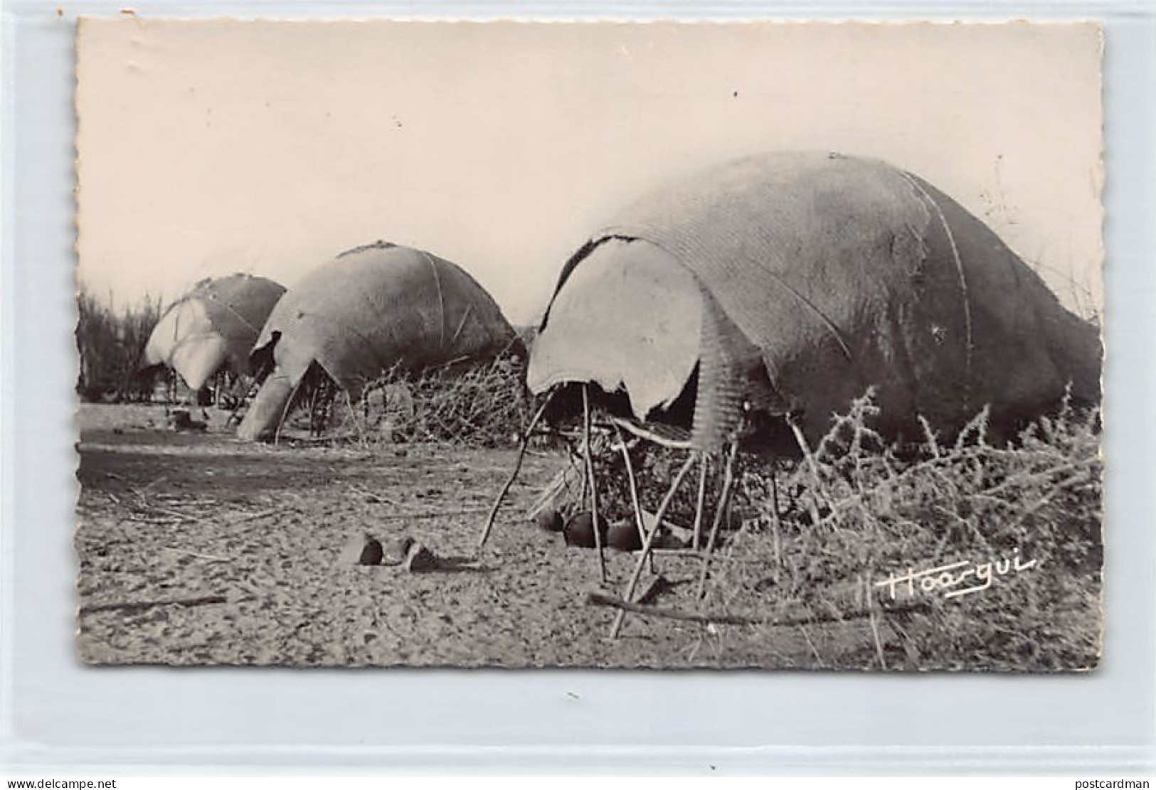 Tchad - Campement De Nomades Près D'Abéché - Ed. Librairie Au Messager 118 - Tsjaad