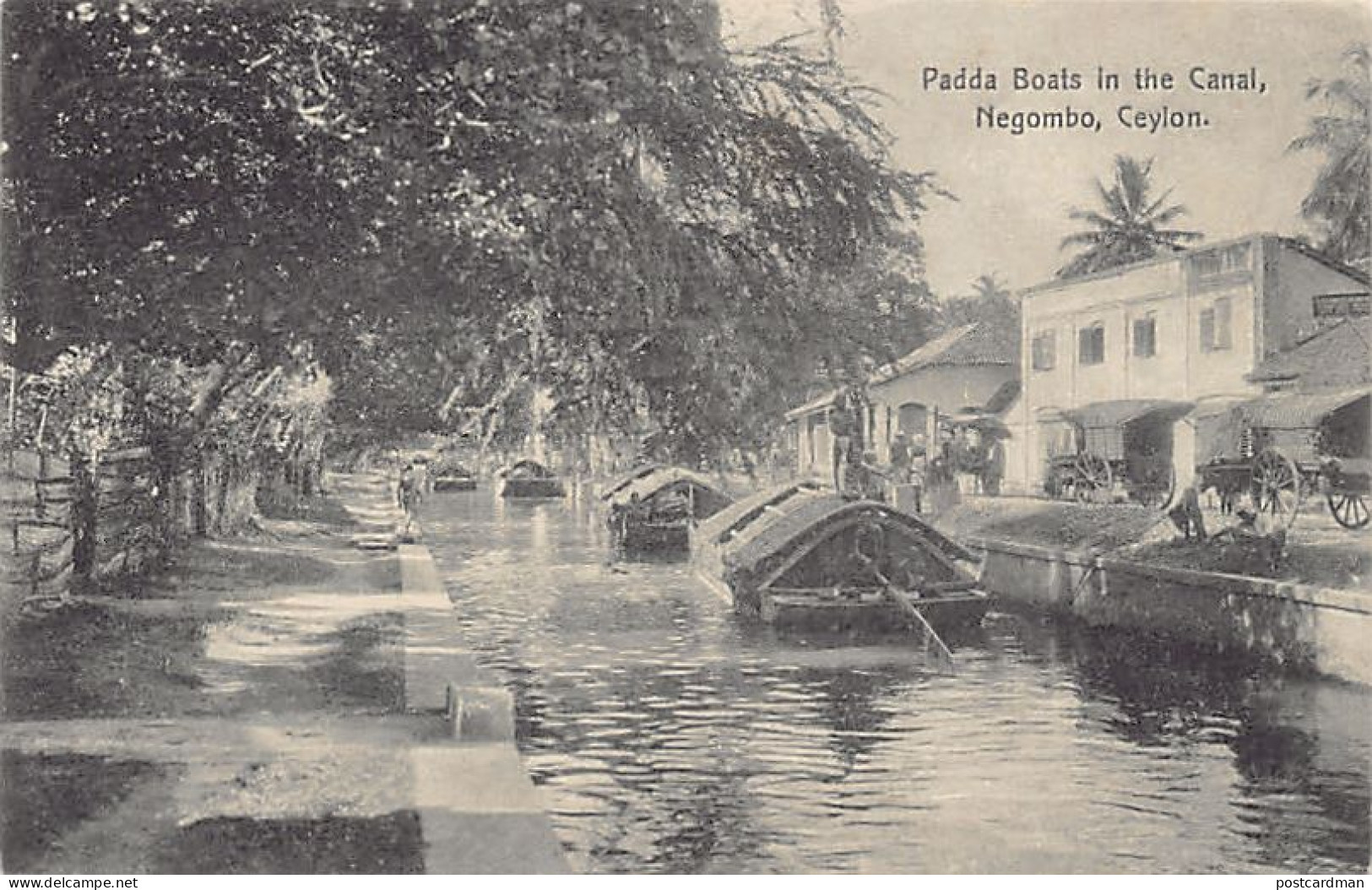 Sri Lanka - NEGOMBO - Paddy Boats In The Canal - Publ. Plâté Ltd. 234 - Sri Lanka (Ceylon)