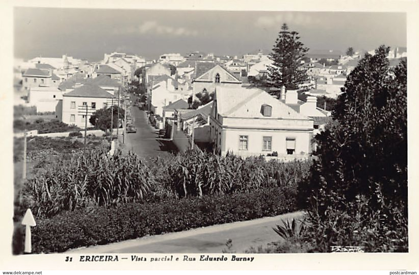 Portugal - ERICEIRA - Vista Parcial E Rua Eduardo Burnay - Ed. Loty 31 - Altri & Non Classificati