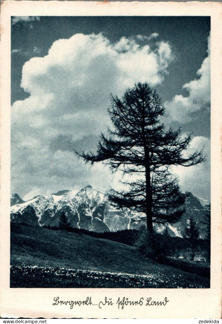 H1390 - Hoffmann Heinrich Foto Künstlerkarte - Bergwelt Du Schönes Land - Selbstverlag - Autres & Non Classés