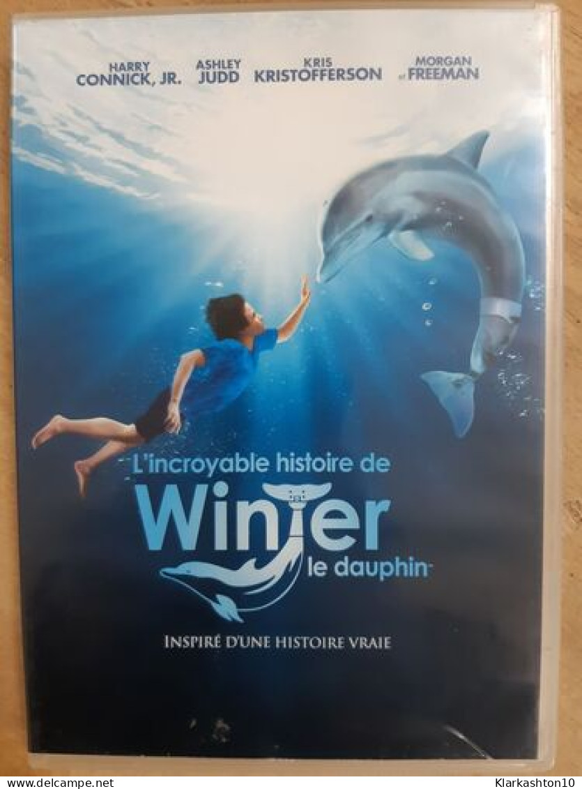 DVD Film - Winter Le Dauphin - Autres & Non Classés