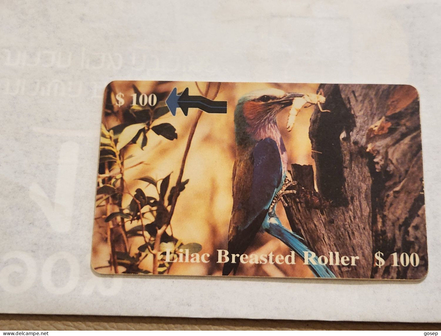 Zimbabwe-(ZIM-34)-Lilac Breasted Roller-(80)-($100)-(0026015737)-(1/12/2000)-(tirage-30.000)-used Card - Zimbabwe
