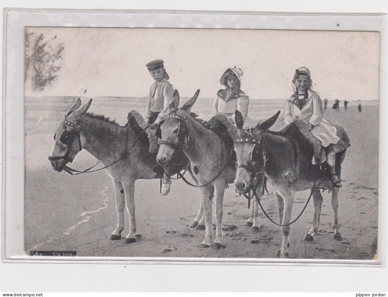 BELGIQUE **Un TRIO  ** - Bosnie-Herzegovine