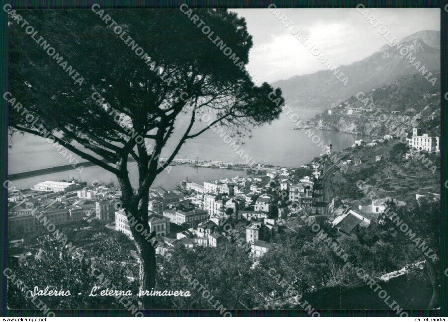 Salerno Città Foto FG Cartolina KB4202 - Salerno