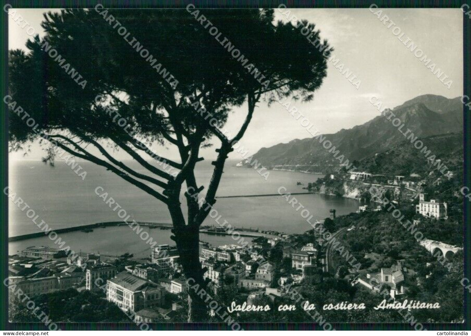 Salerno Città Foto FG Cartolina KB4198 - Salerno