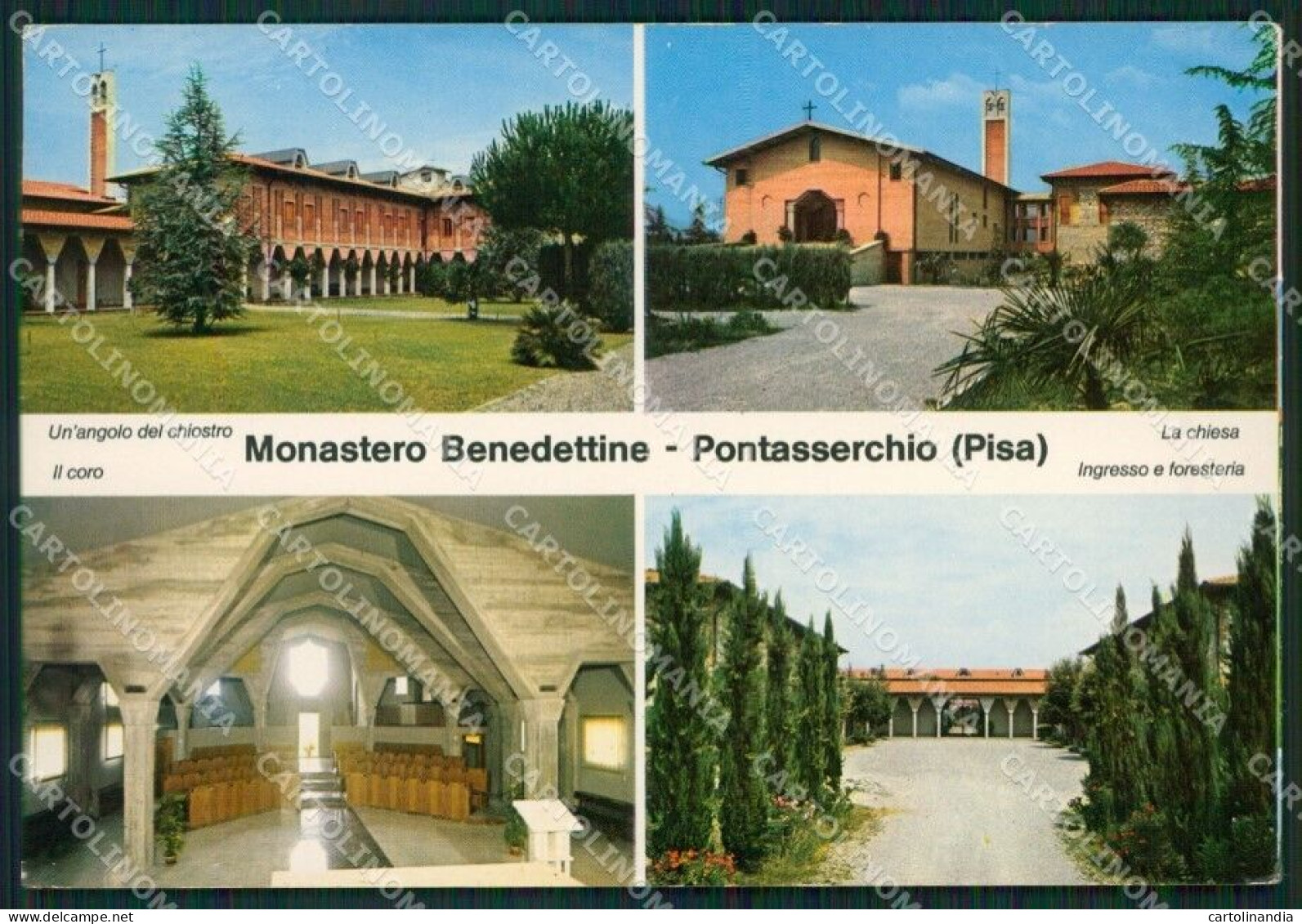 Pisa San Giuliano Terme Pontasserchio Foto FG Cartolina ZKM8173 - Pisa
