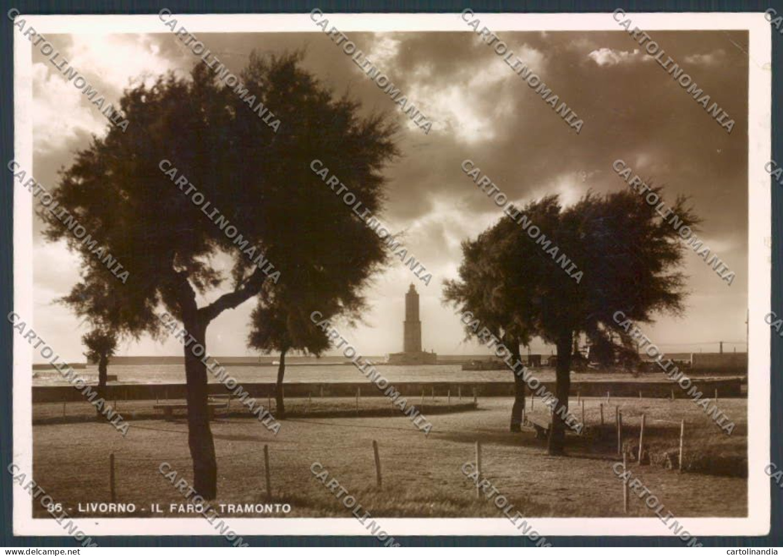 Livorno Città Faro Foto FG Cartolina ZF3572 - Livorno