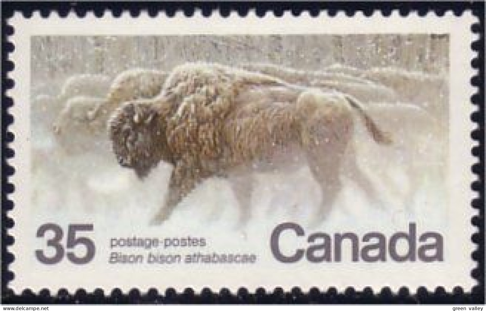 (C08-84a) Canada Bison Buffalo MNH ** Neuf SC - Unused Stamps