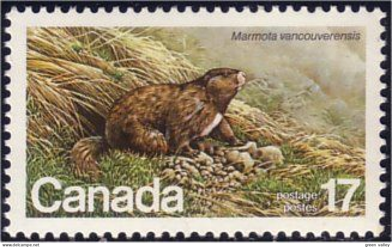 (C08-83c) Canada Marmot Marmotte MNH ** Neuf SC - Roedores