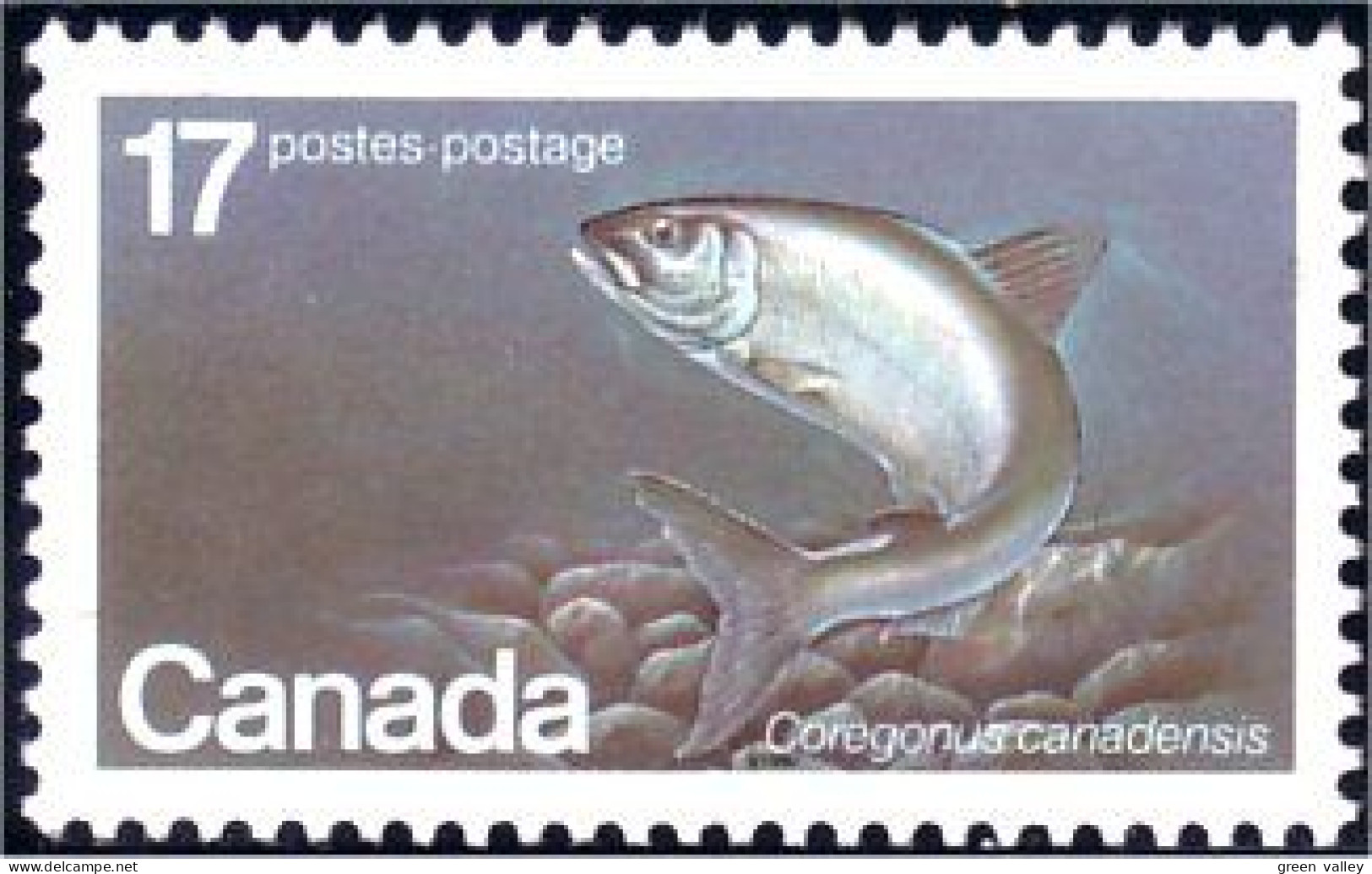 (C08-53c) Canada Saumon Salmon Coregone Whitefish MNH ** Neuf SC - Levensmiddelen