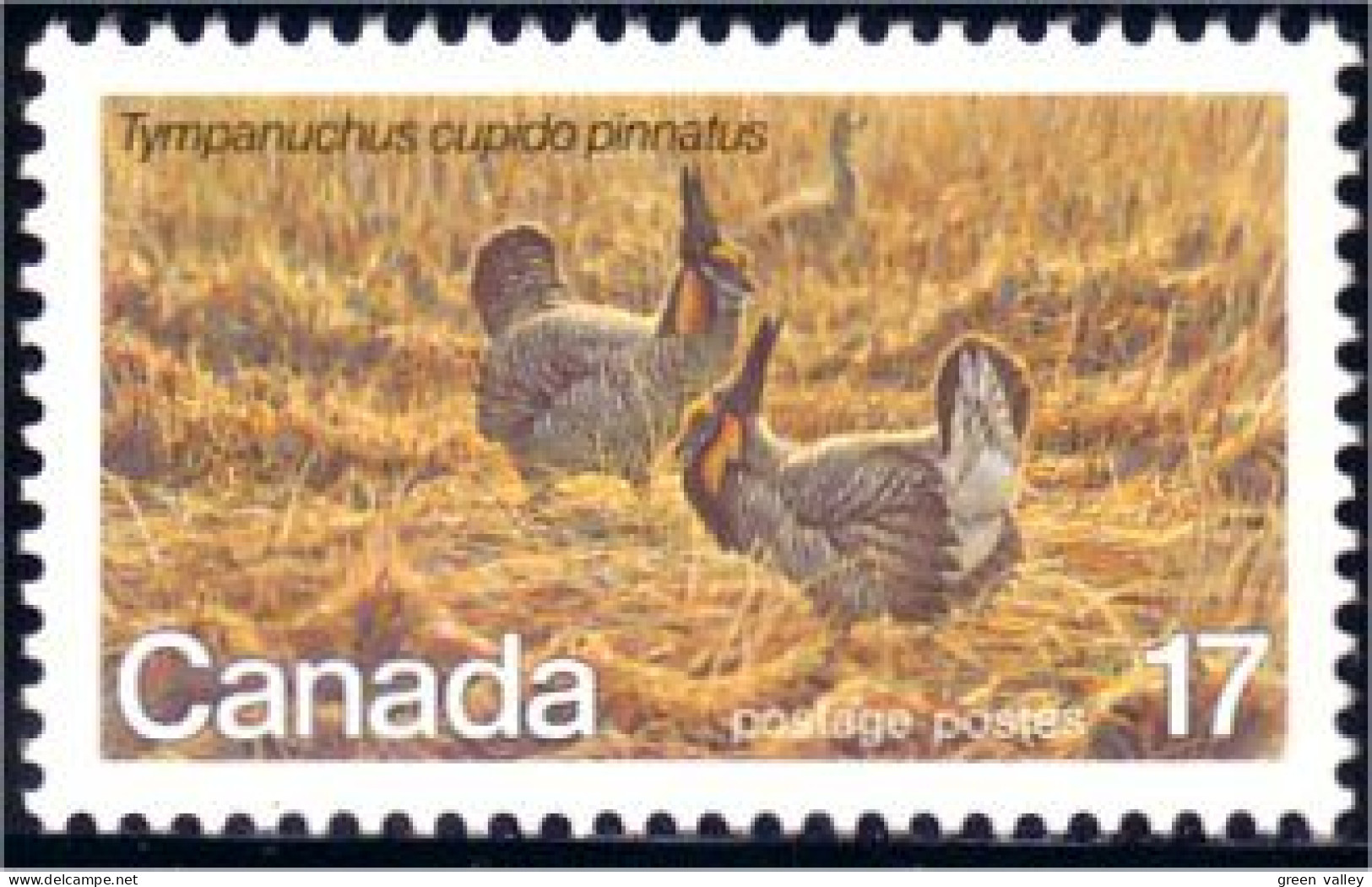 (C08-54c) Canada Poule Des Prairies Chicken MNH ** Neuf SC - Gallinacées & Faisans